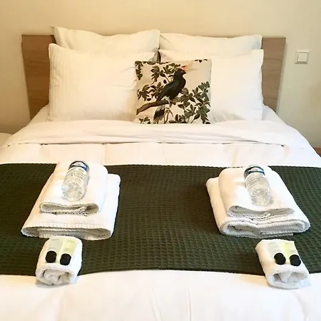 Modern 100m2 Flat 2mn Walking From Train Station In City Center, Free Parking -2a